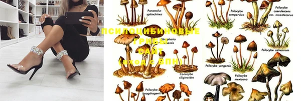 мяу мяу кристалл Рославль
