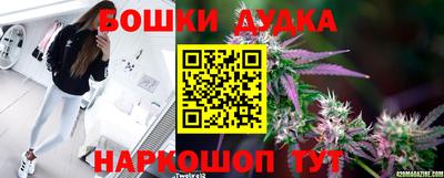 дмт Беслан