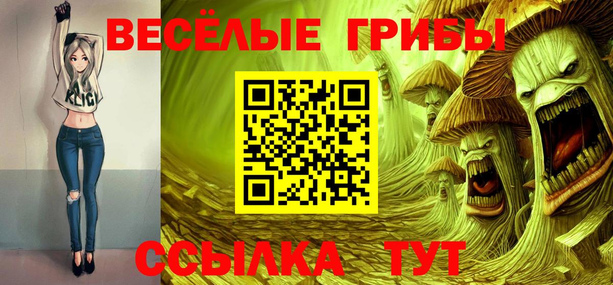 Галлюциногенные грибы Psilocybe Беслан