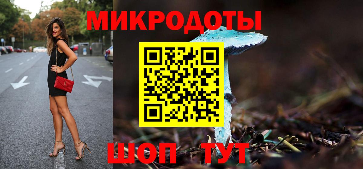 Псилоцибиновые грибы Cubensis  Беслан 