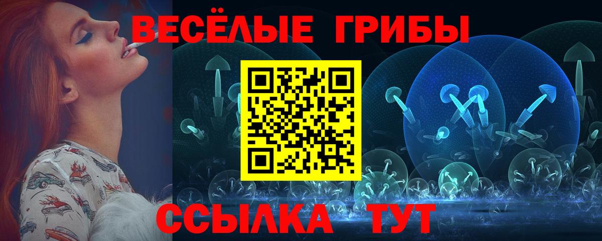 где купить наркоту  Вход с VPN  Беслан  Псилоцибиновые грибы прущие грибы 